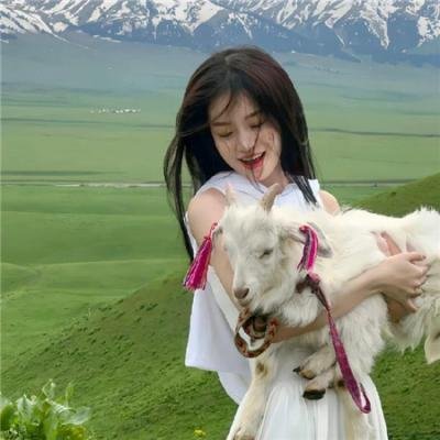 死在岩石上