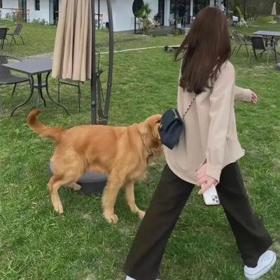 女儿们的恋爱第一季